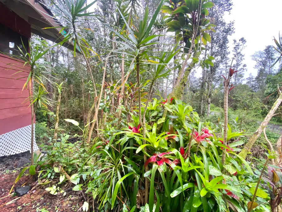 417 Aloha Rd, Pahoa, HI 96778 - #3