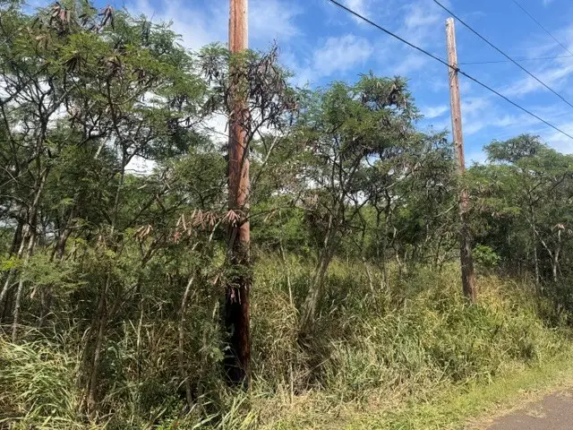 94-6287 Mark Twain St, Naalehu, HI 96772 - #1