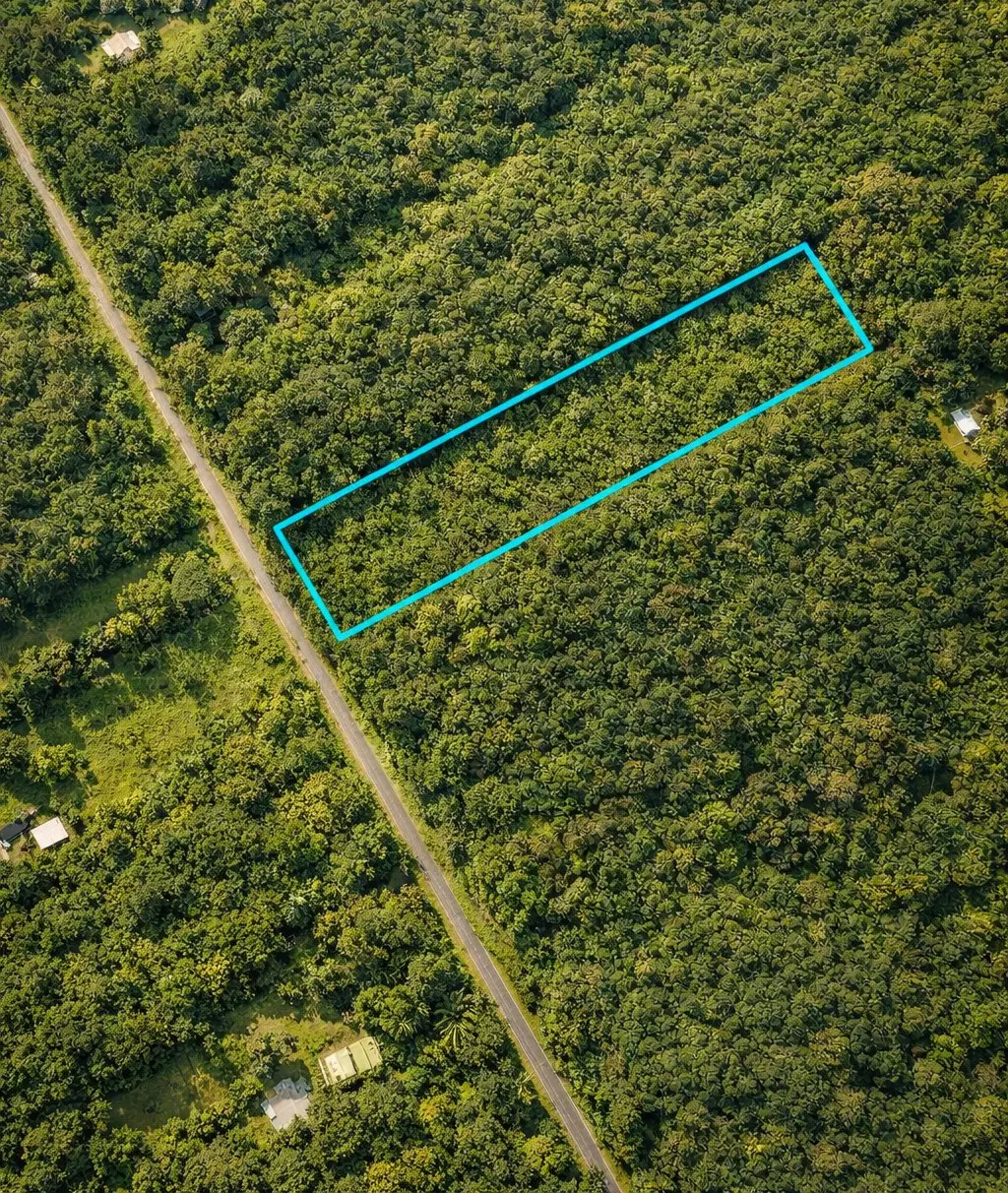 Road 3 (hopue), Mountain View, HI 96771 - #1