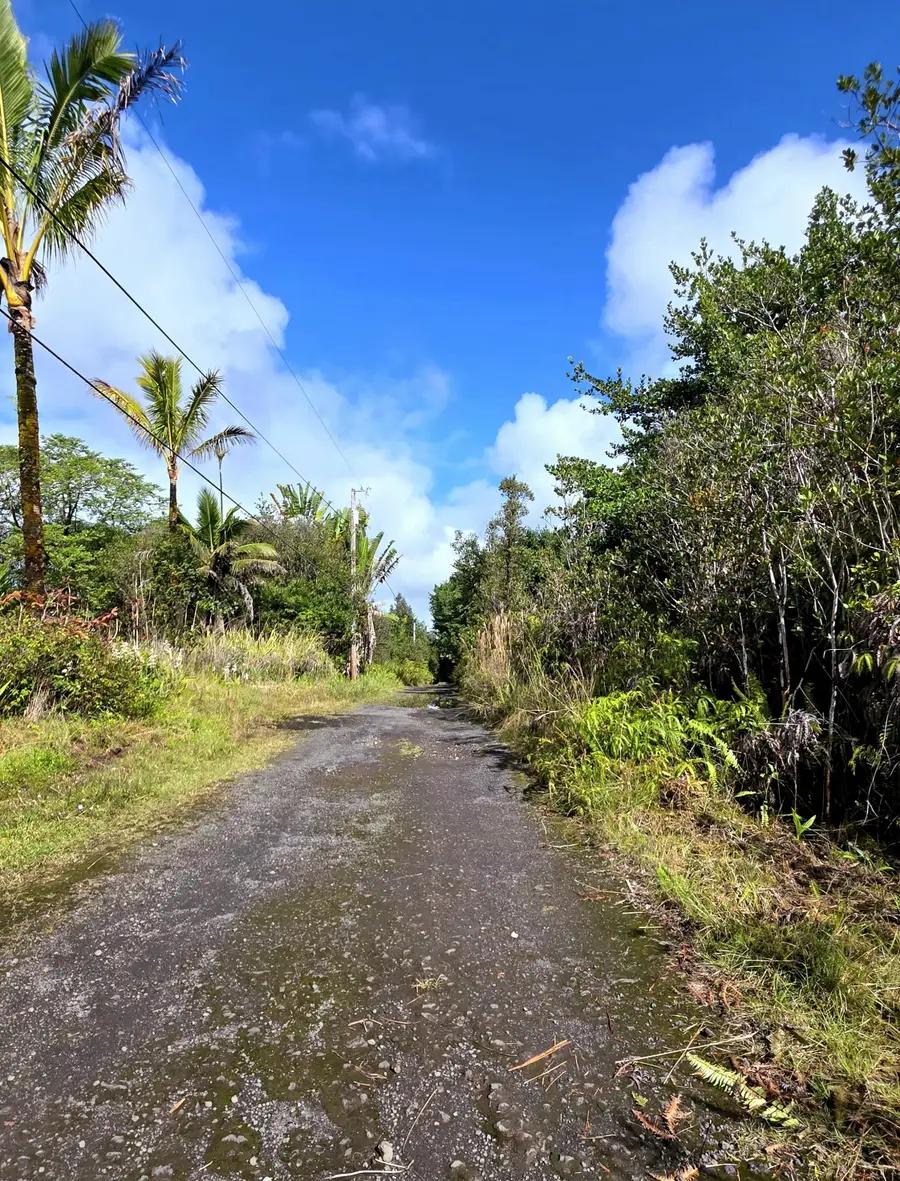 Road 3 (hopue), Mountain View, HI 96771 - #3