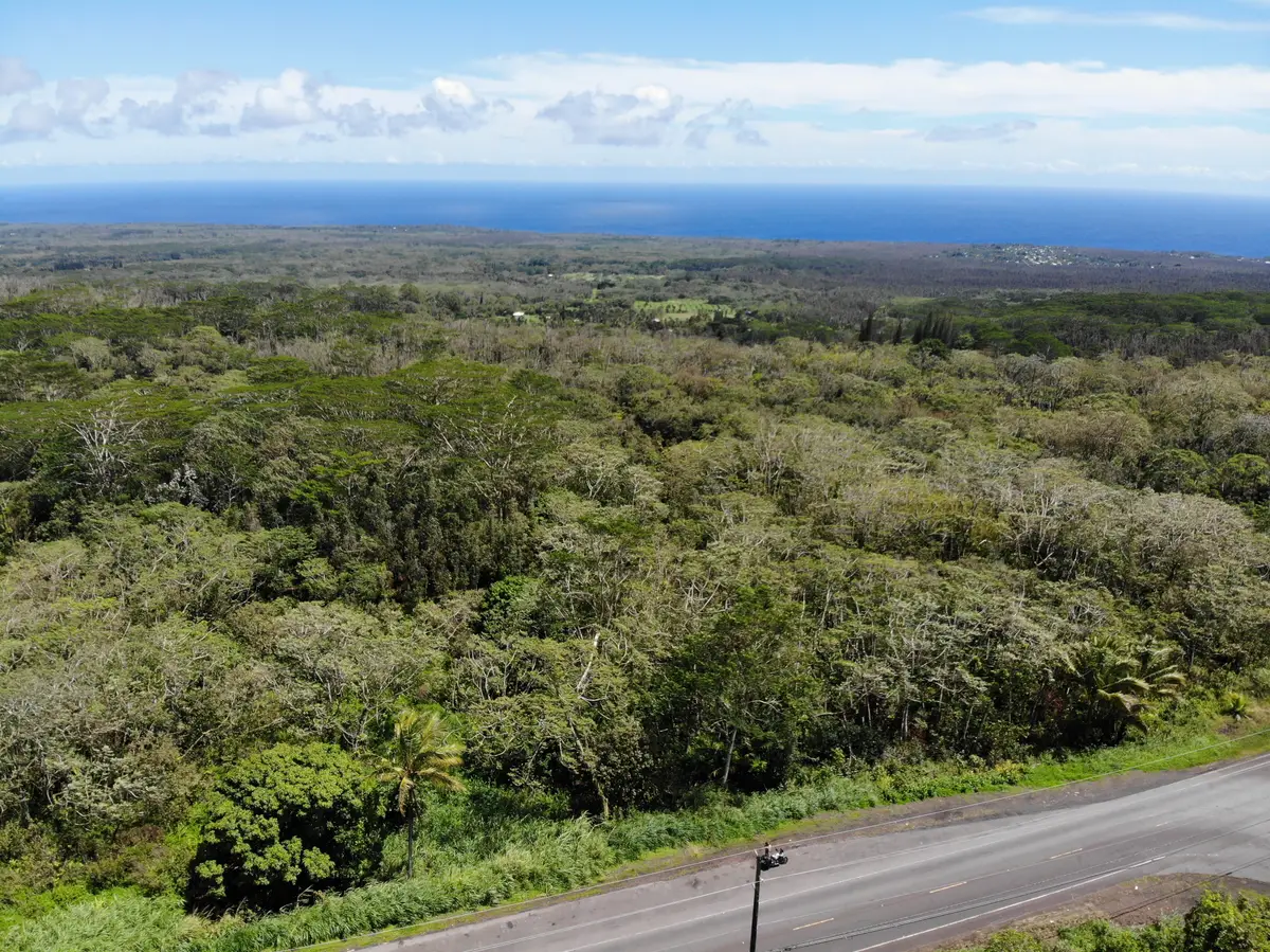 13-3827 Pahoa Kalapana Rd, Pahoa, HI 96778 - #1
