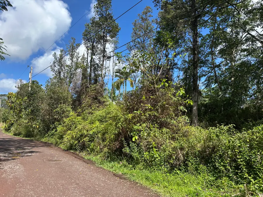 16-2061 Paradise Ct, Keaau, HI 96749 - #3