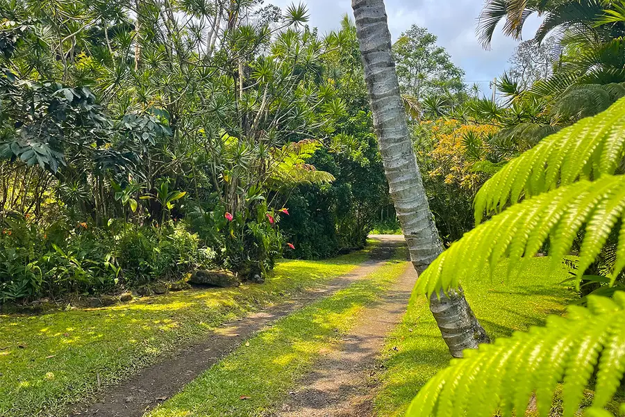 13-3643 Pomaikai St, Pahoa, HI 96778 - #2