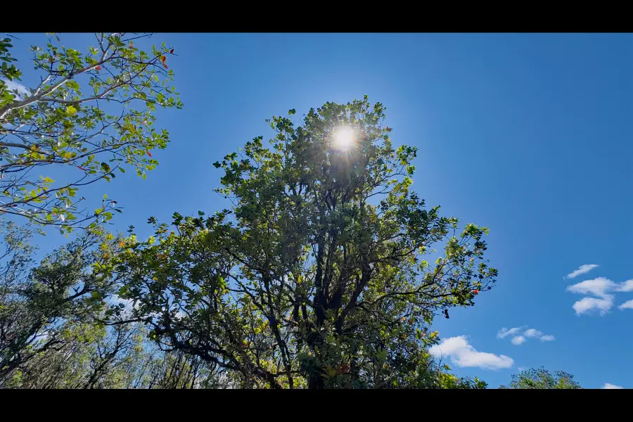 Pikake St, Mountain View, HI 96771 - #3