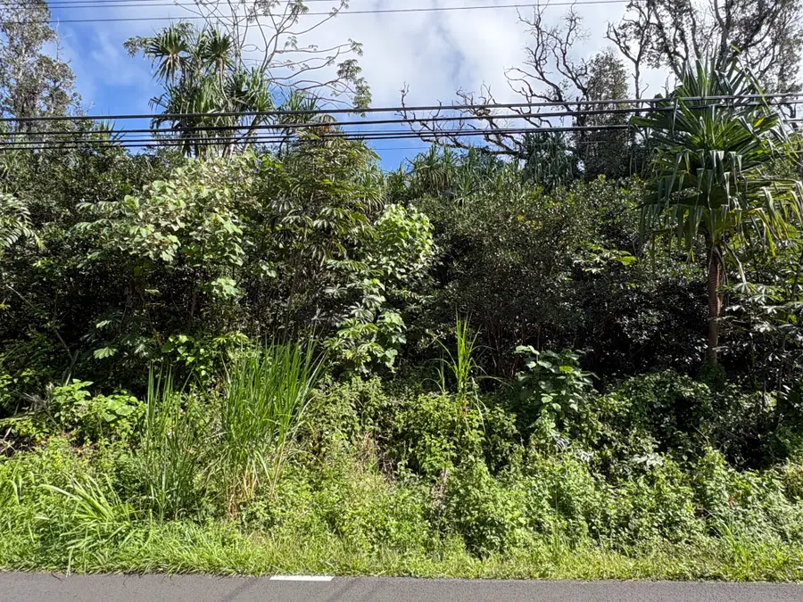 Kahakai Blvd, Pahoa, HI 96778 - #3