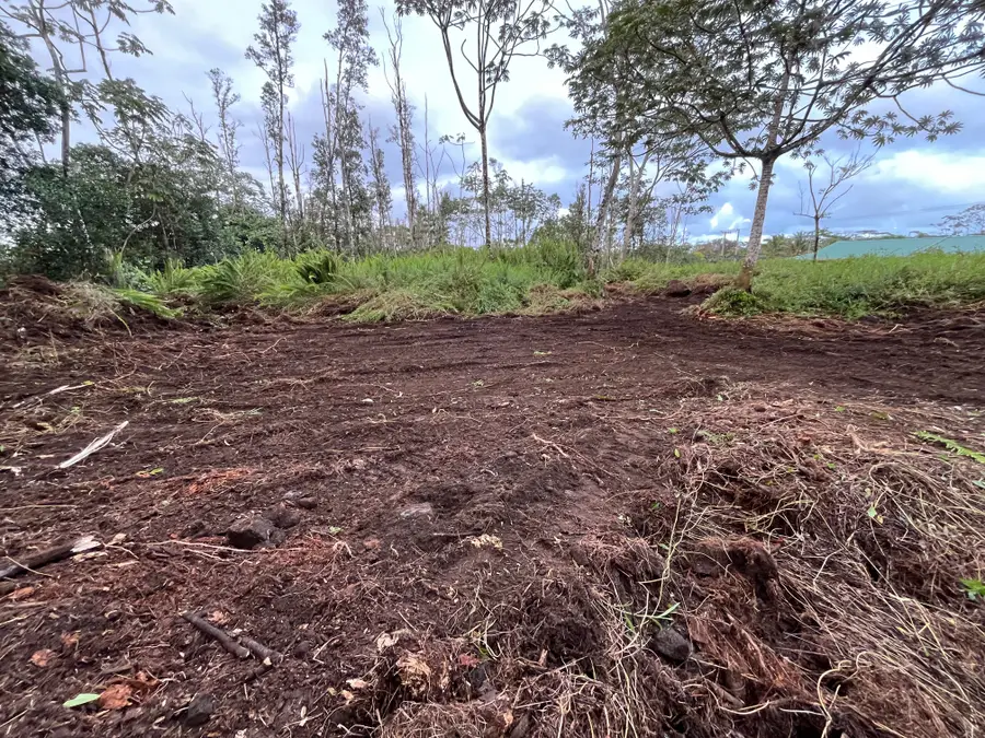 15-1958 23rd Ave, Keaau, HI 96749 - #2