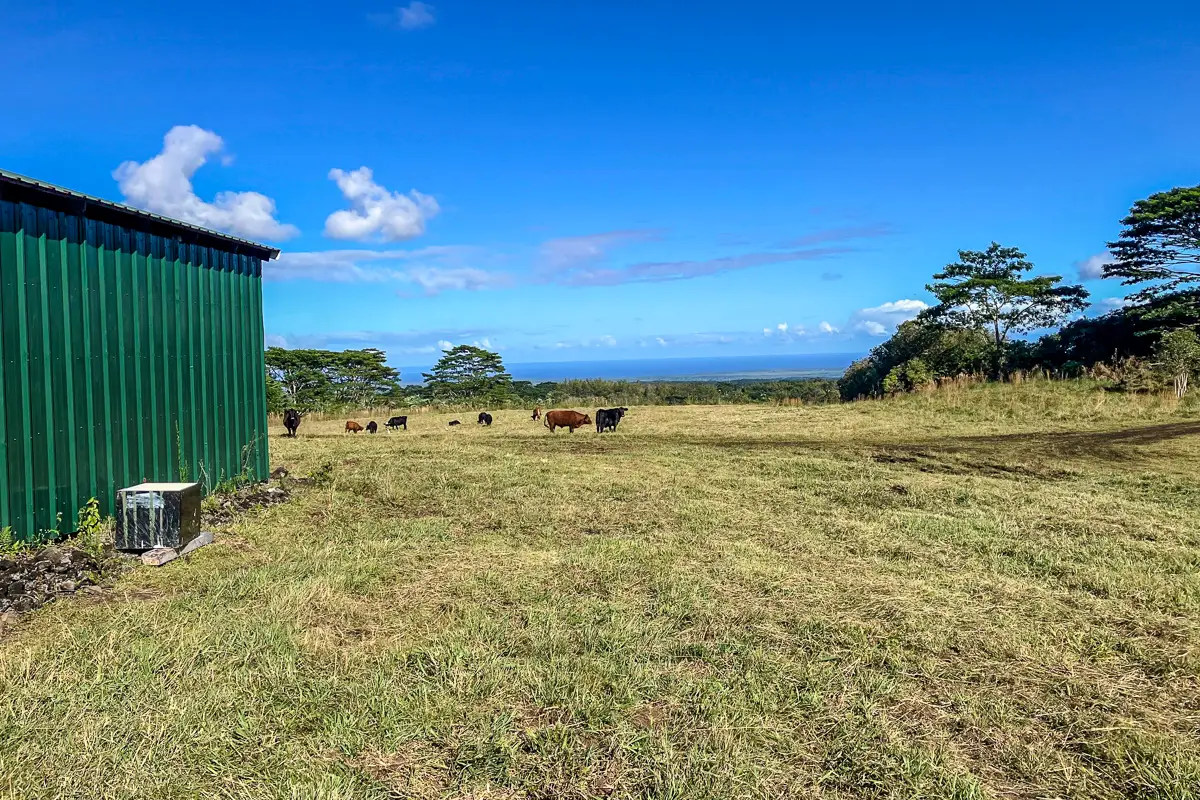 17-4870 South Rd, Kurtistown, HI 96760 - #1