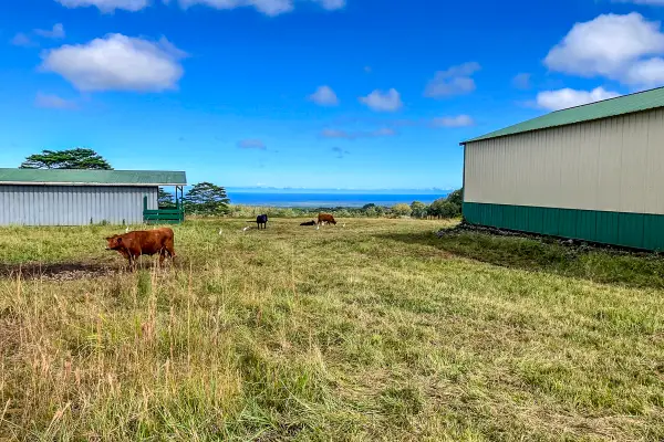 17-4870 South Rd, Kurtistown, HI 96760