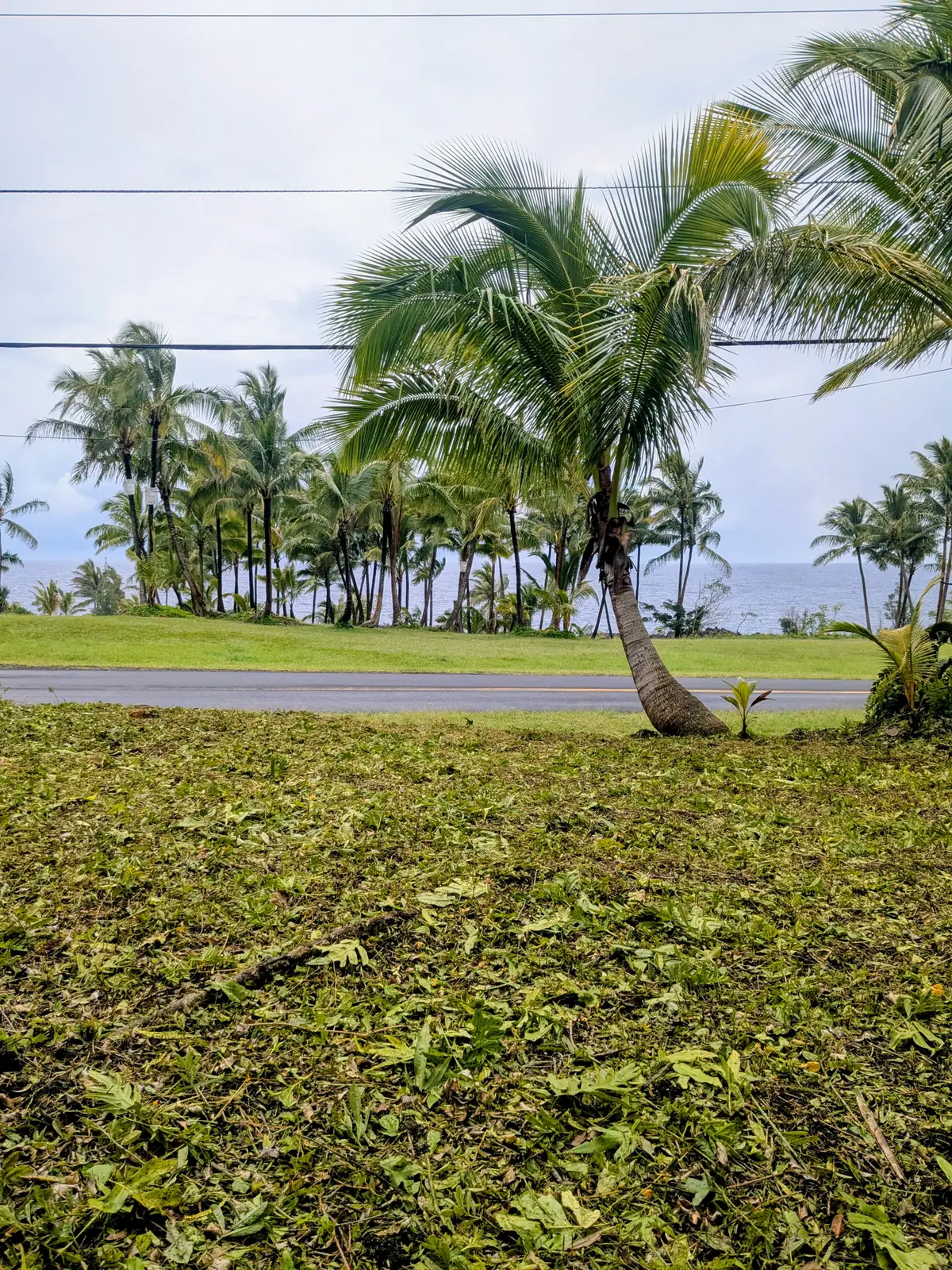 Kalihi Kai St, Pahoa, HI 96778 - #1