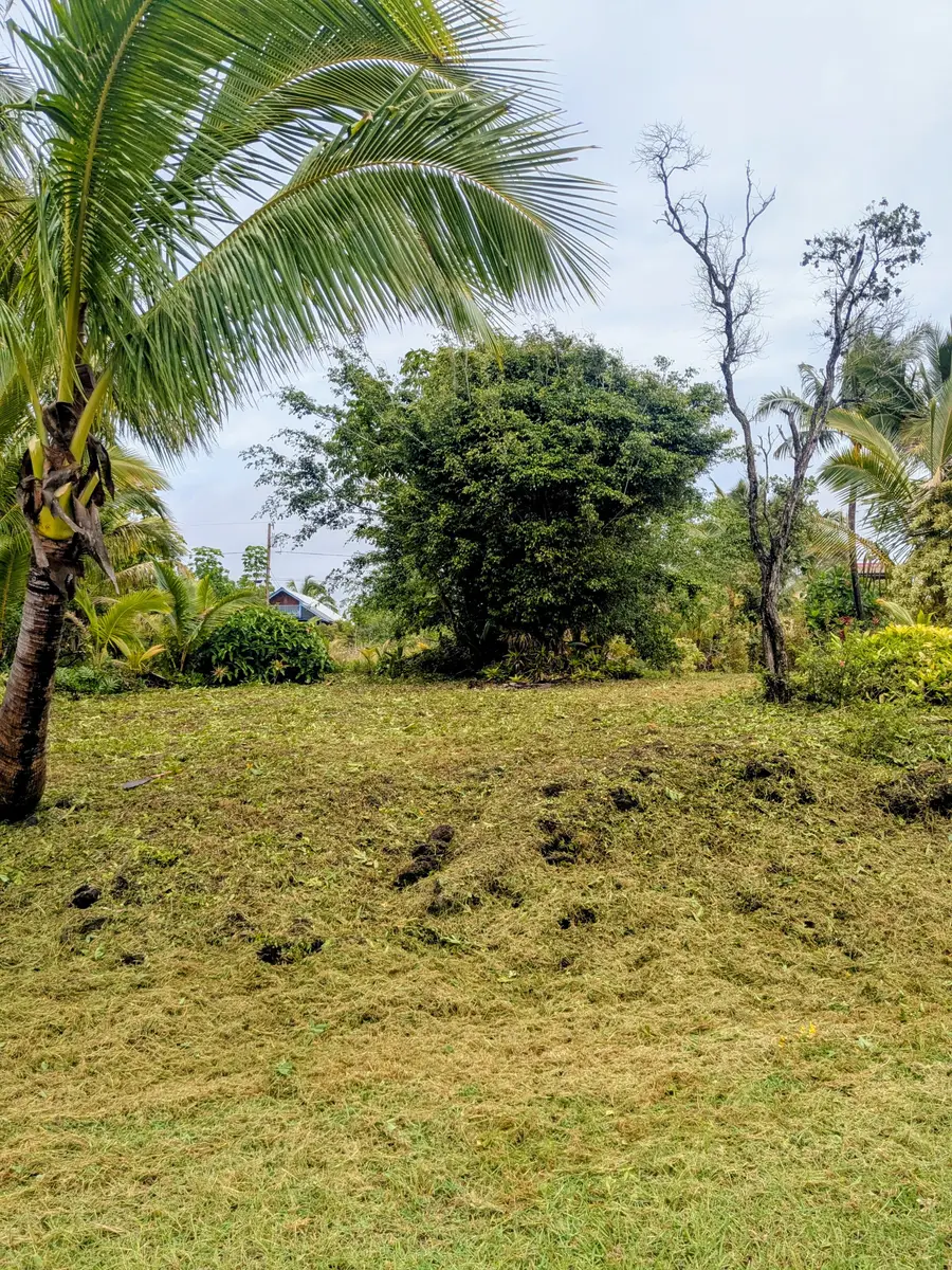 Kalihi Kai St, Pahoa, HI 96778 - #3