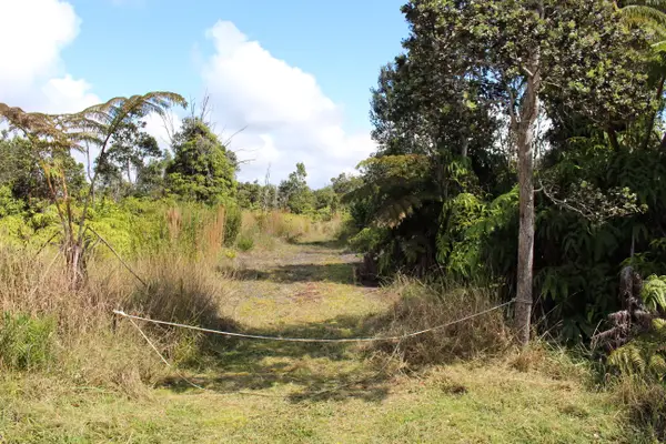 Nahelenani St, Volcano, HI 96785