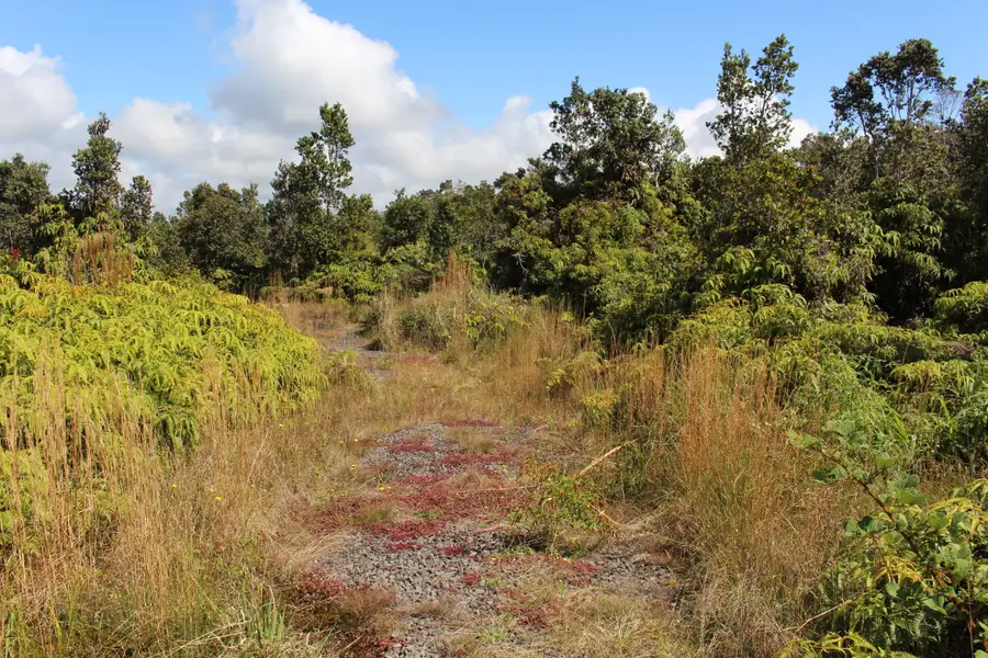 Nahelenani St, Volcano, HI 96785 - #2