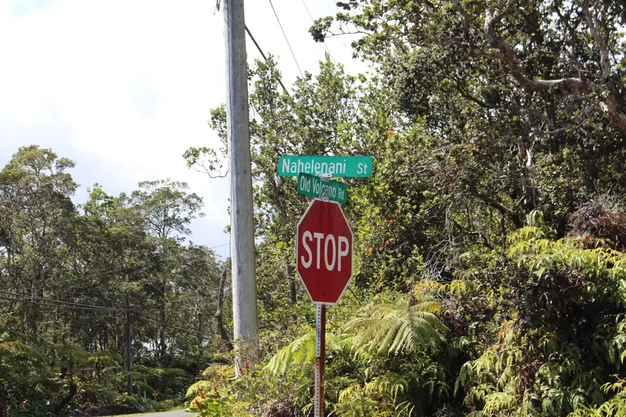 Nahelenani St, Volcano, HI 96785 - #3