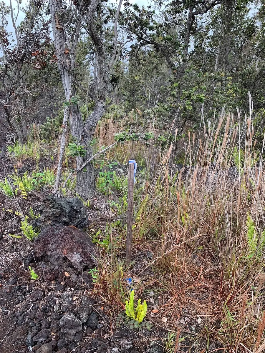 Hawaii Blvd, Ocean View, HI 96737 - #2