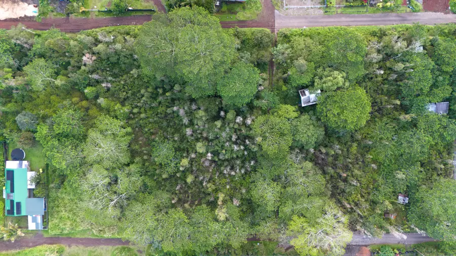 Paradise Ct, Kurtistown, HI 96760 - #3