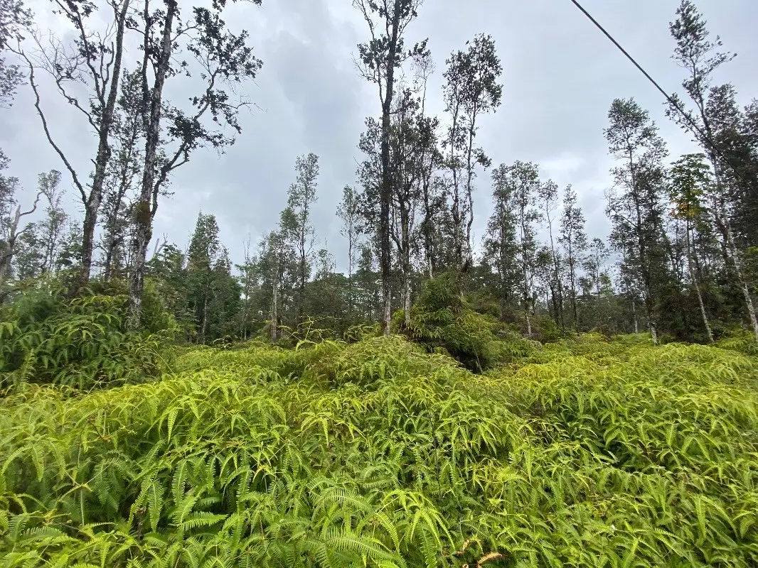 Molokai Rd, Pahoa, HI 96778 - #1