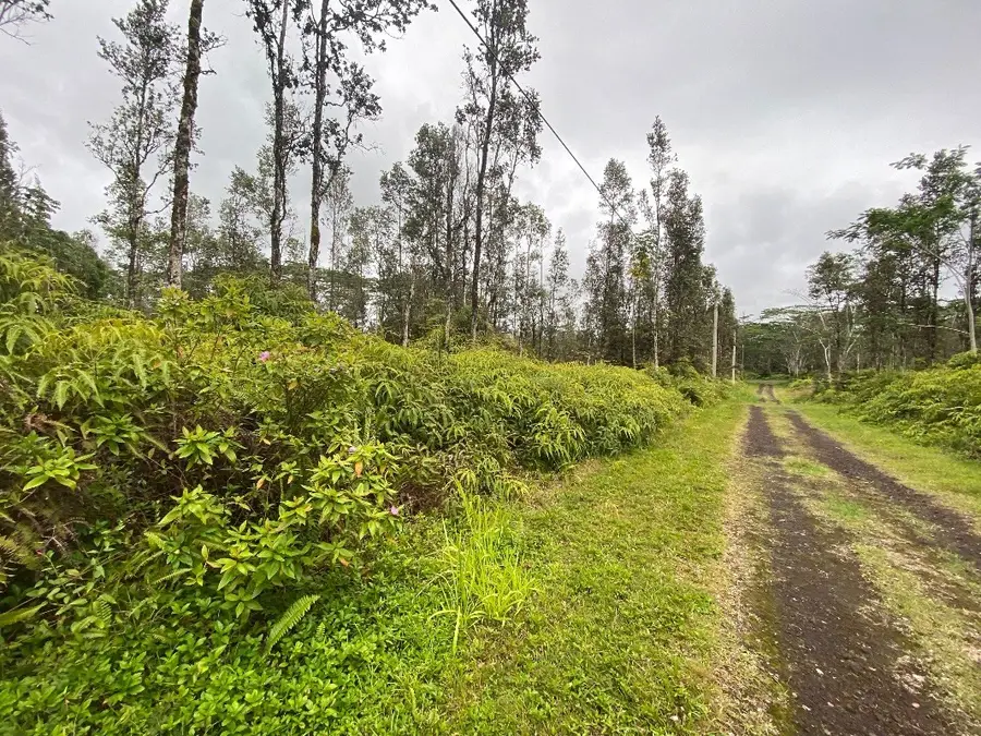 Molokai Rd, Pahoa, HI 96778 - #2