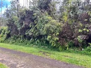 Maui Rd, Pahoa, HI 96778 - #3