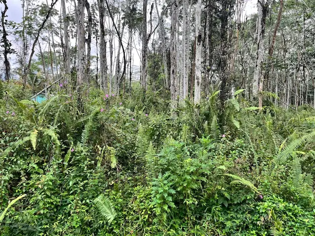 Hawaii Rd, Pahoa, HI 96778 - #3