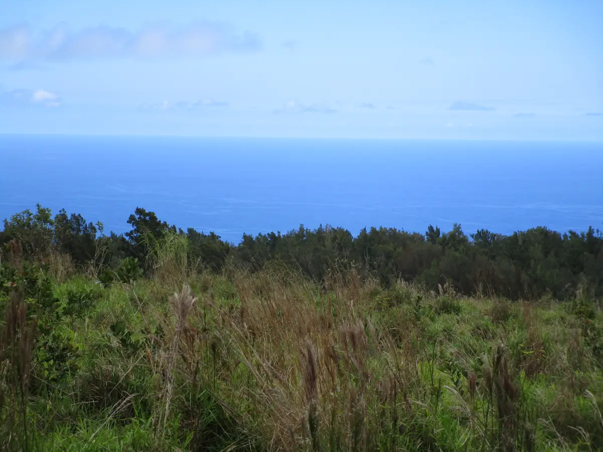 36-660 Spencer Rd, Laupahoehoe, HI 96764 - #1