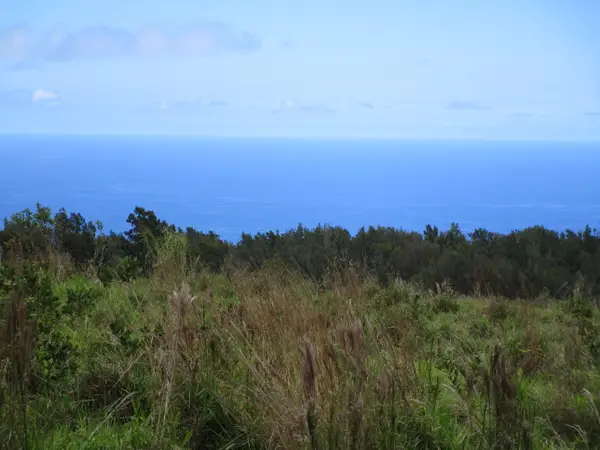 36-660 Spencer Rd, Laupahoehoe, HI 96764