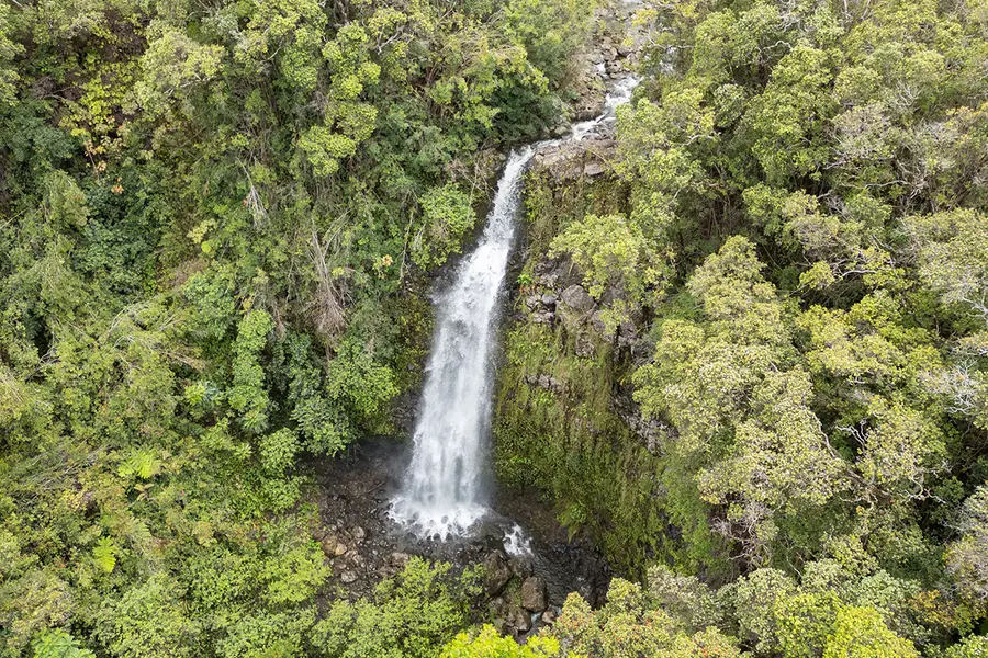 36-660 Spencer Rd, Laupahoehoe, HI 96764 - #2