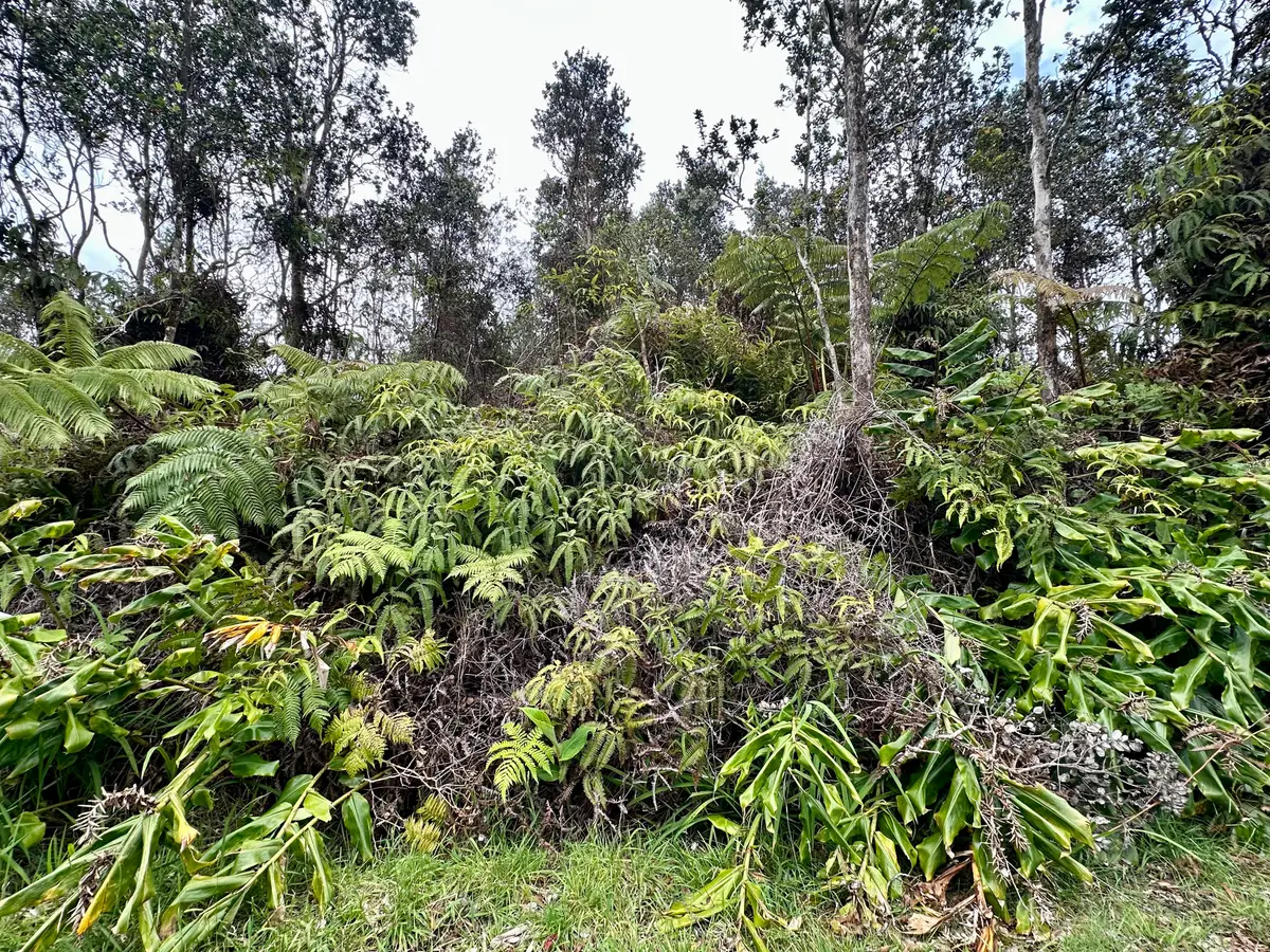 Liona St, Volcano, HI 96785 - #1