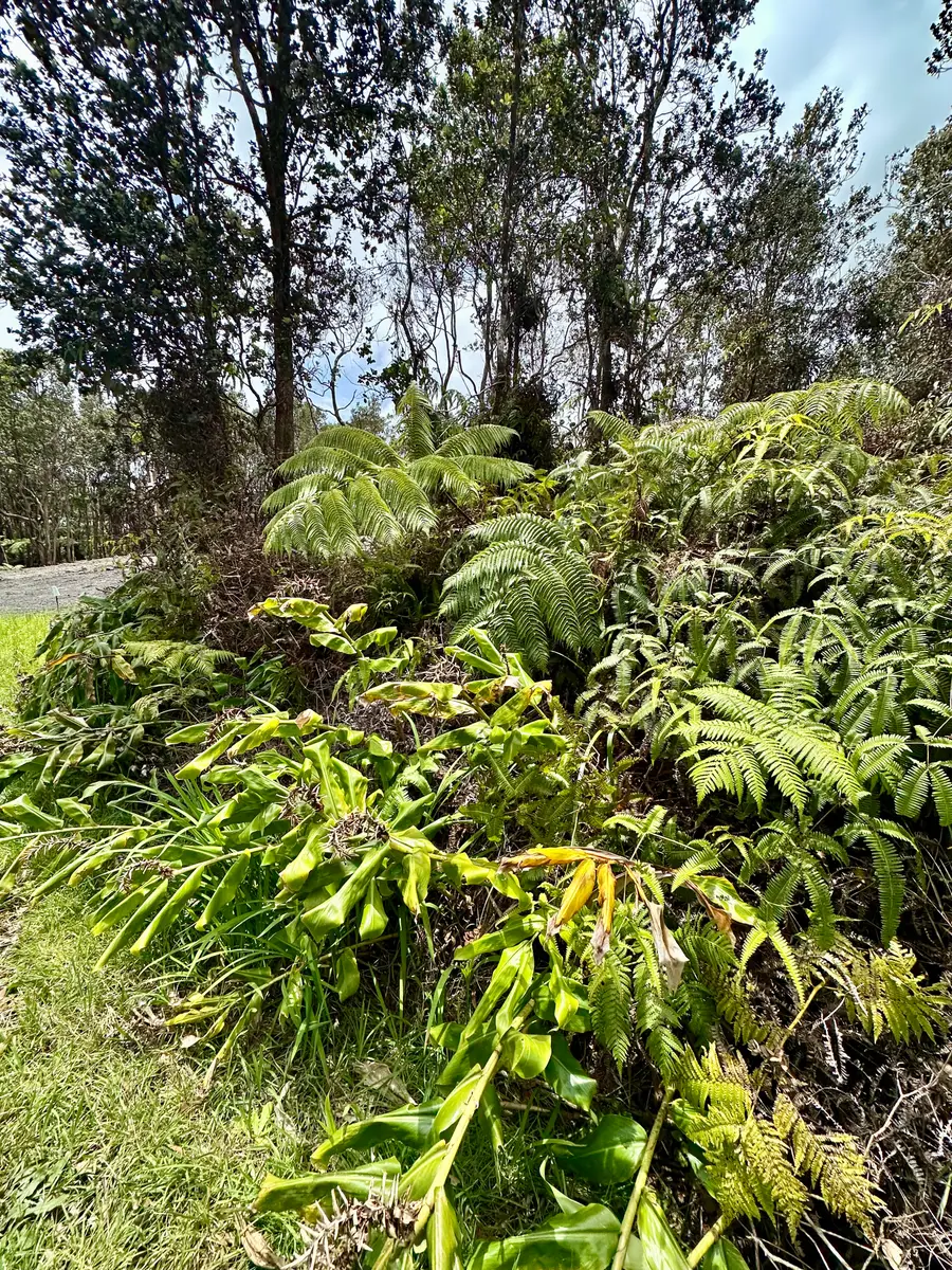 Liona St, Volcano, HI 96785 - #2