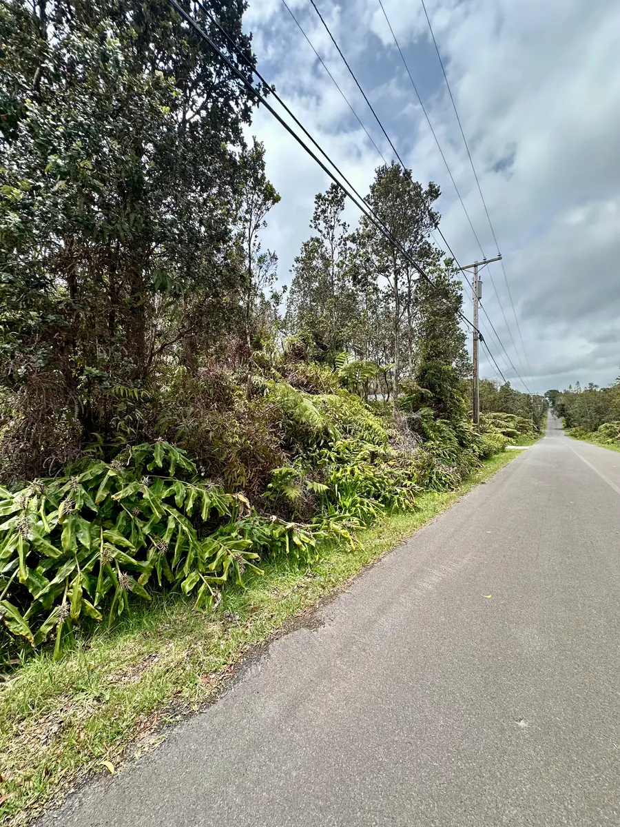 Liona St, Volcano, HI 96785 - #3