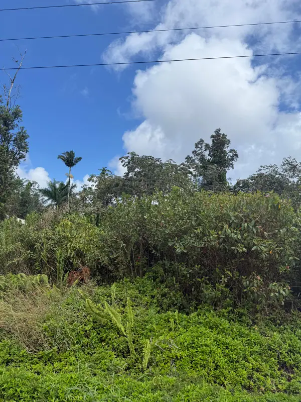 Tree Fern Dr, Pahoa, HI 96778
