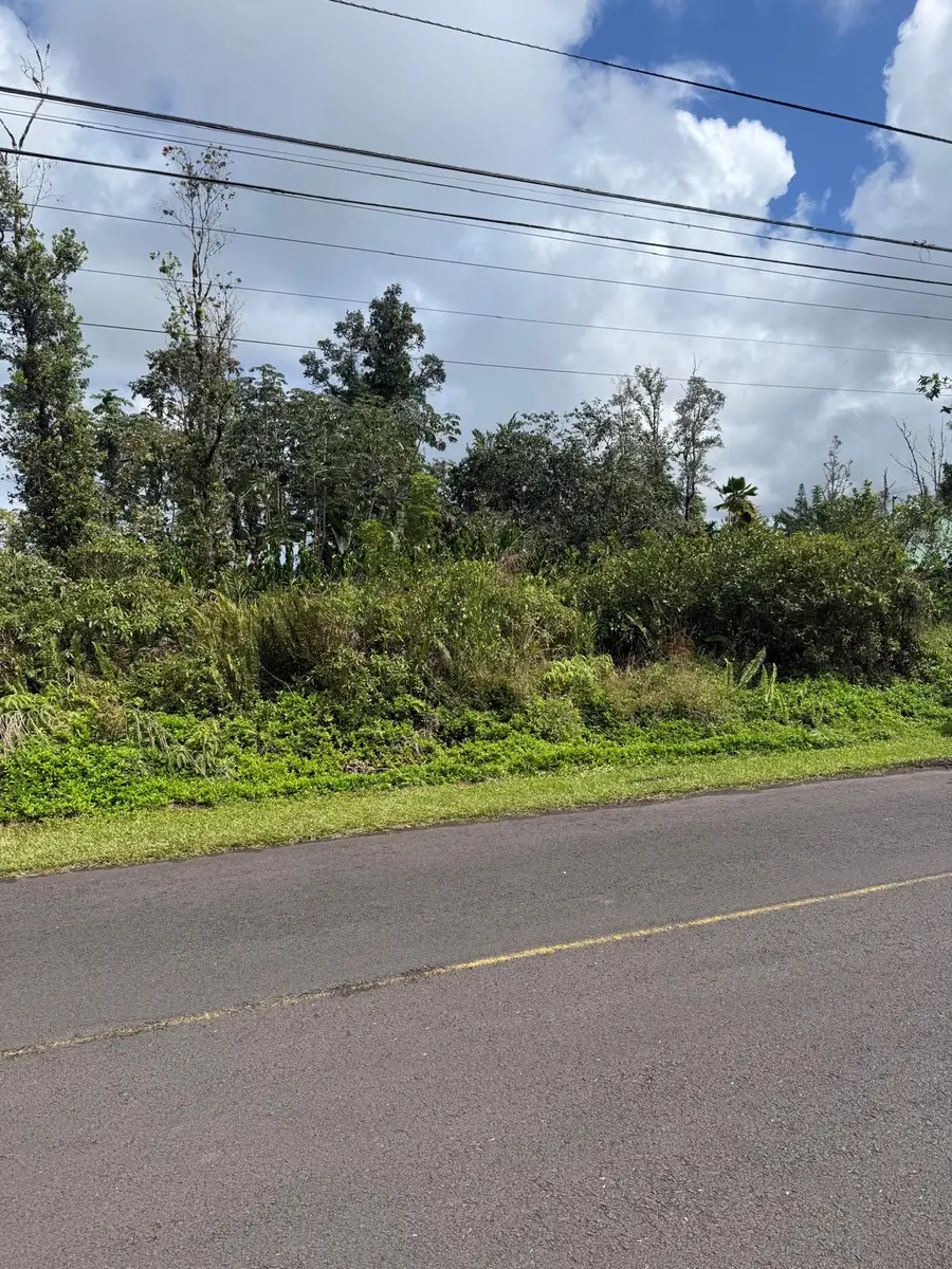 Tree Fern Dr, Pahoa, HI 96778 - #2