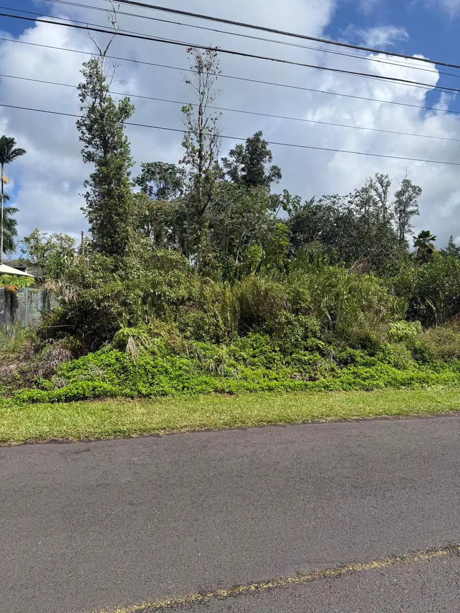 Tree Fern Dr, Pahoa, HI 96778 - #3
