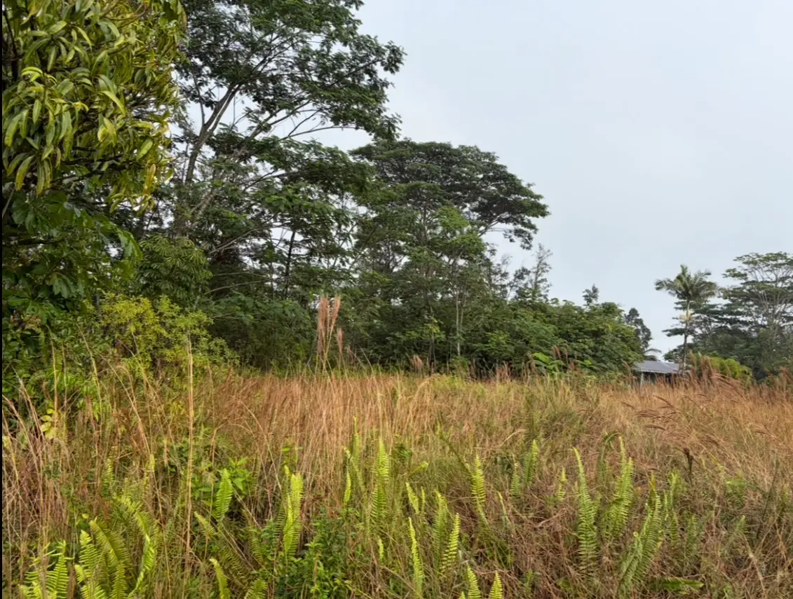 16-2069 Pearl Dr, Pahoa, HI 96778 - #1