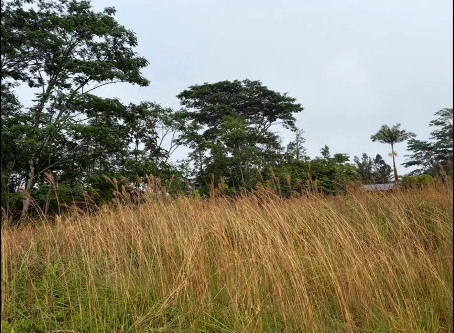 16-2069 Pearl Dr, Pahoa, HI 96778 - #2