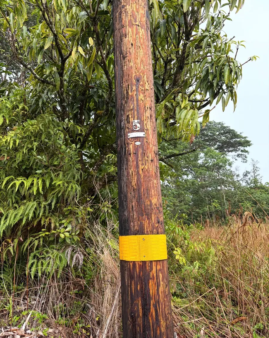 16-2069 Pearl Dr, Pahoa, HI 96778 - #3