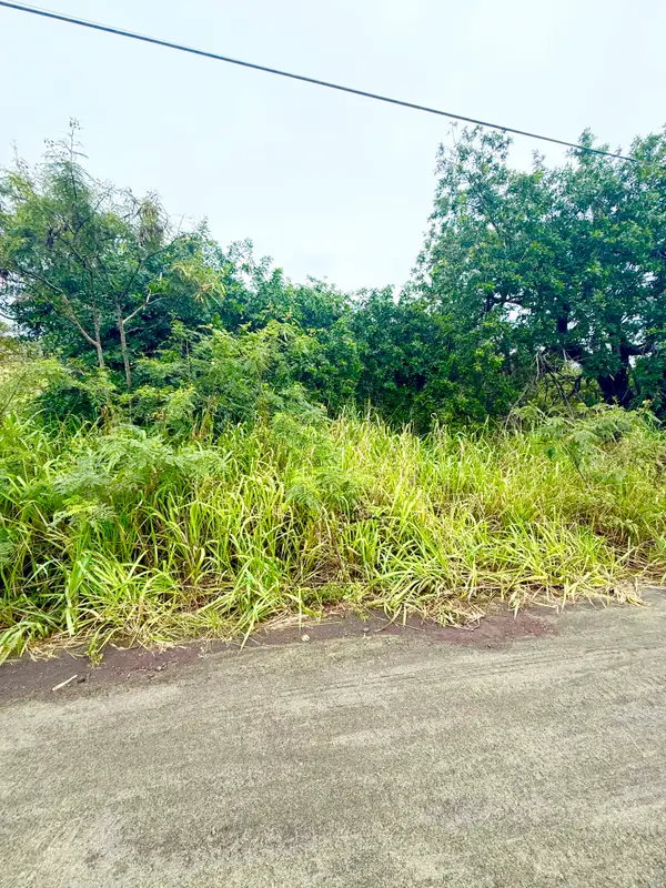 Mark Twain St, Naalehu, HI 96772