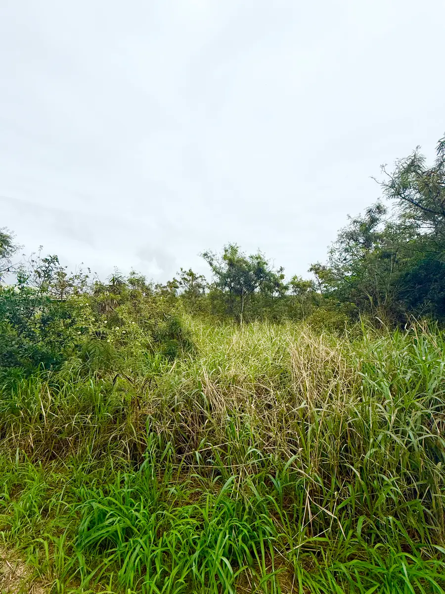 Mark Twain St, Naalehu, HI 96772 - #2