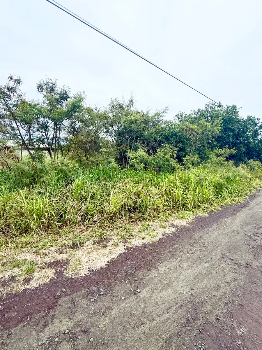 Mark Twain St, Naalehu, HI 96772 - #3