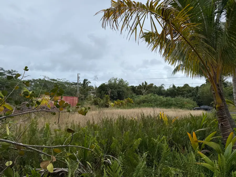 Puulena St, Pahoa, HI 96778 - #2