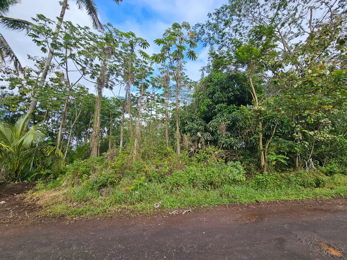 36th Ave, Kurtistown, HI 96760 - #1