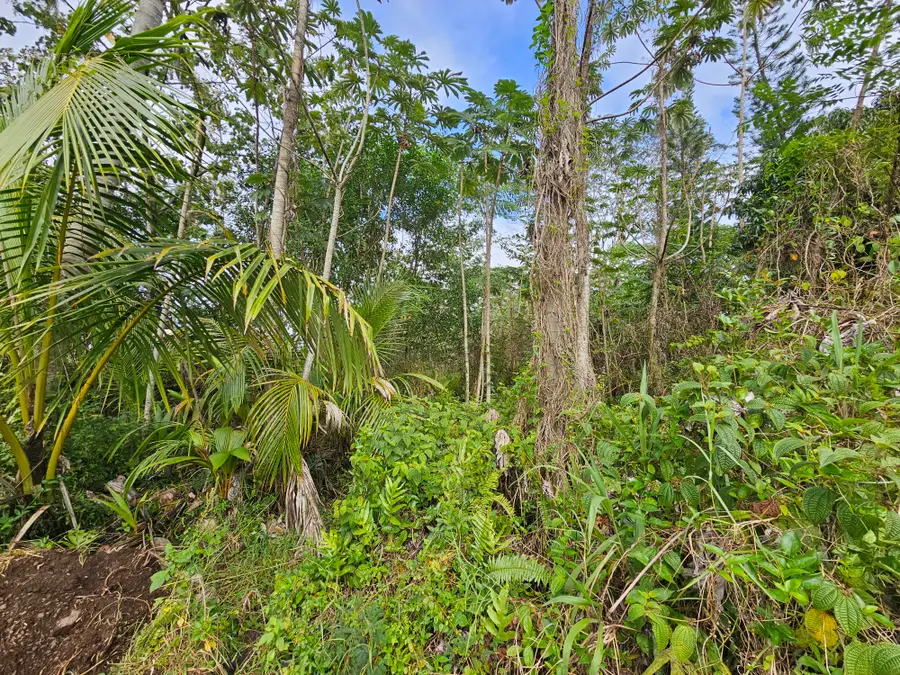 36th Ave, Kurtistown, HI 96760 - #3