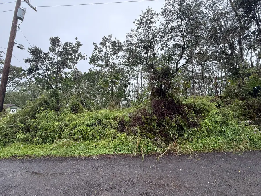 Forest Rd, Pahoa, HI 96778 - #2