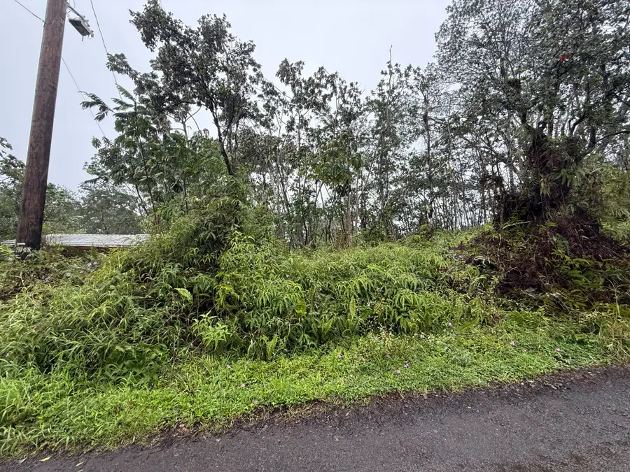 Forest Rd, Pahoa, HI 96778 - #3