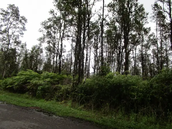 Hibiscus St, Mountain View, HI 96771