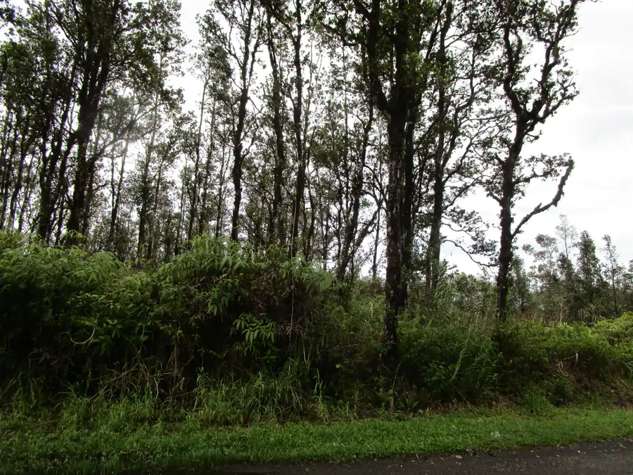 Hibiscus St, Mountain View, HI 96771 - #2