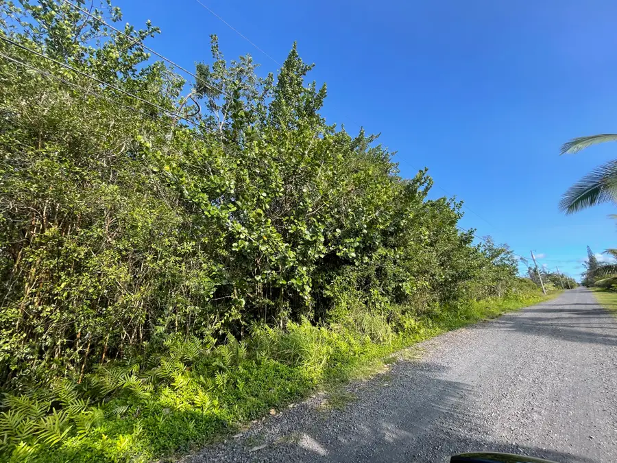 15-1423 12th Ave, Keaau, HI 96749 - #2