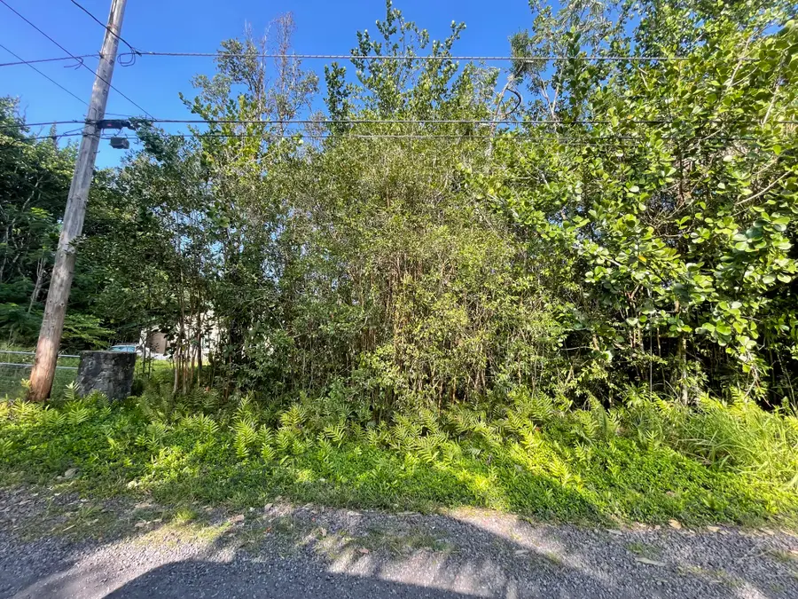 15-1423 12th Ave, Keaau, HI 96749 - #3