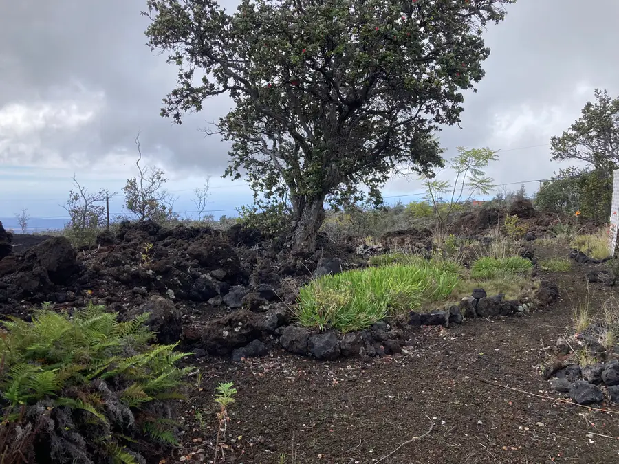 92-8270 Pineapple Pkwy, Ocean View, HI 96737 - #3