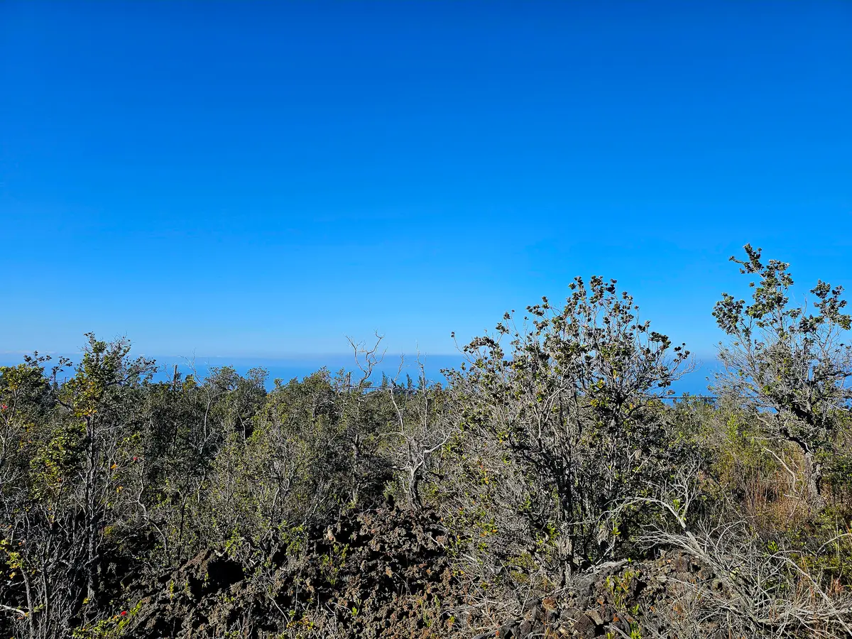 Catamaran Ln, Ocean View, HI 96737 - #1