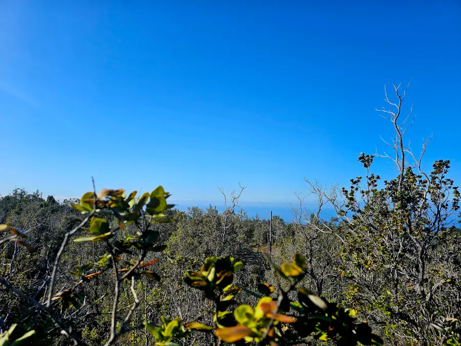 Catamaran Ln, Ocean View, HI 96737 - #3